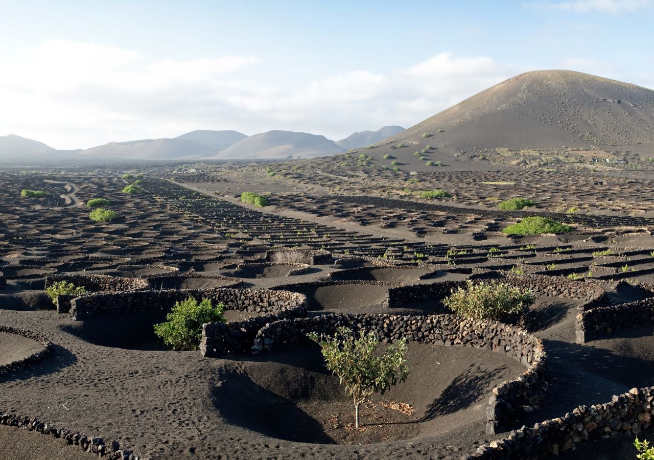 Winnice La Geria na Lanzarote - wyspy kanaryjskie, hiszpania