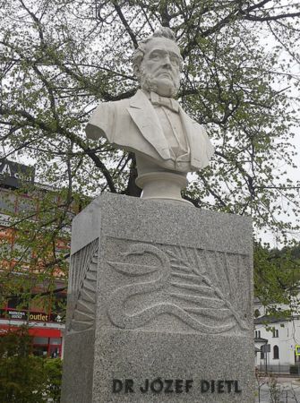 Pomnik prof. Józefa Dietla w Krynicy Zdroju