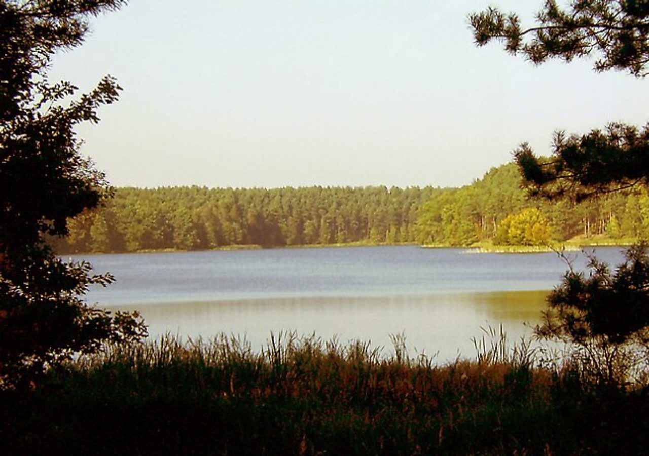 Puszcza Notecka, Jezioro Cegliniec- Polska