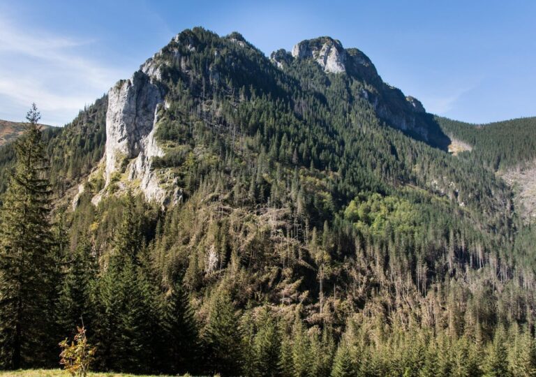 Raptawicka Turnia góruje nad Doliną Kościeliską