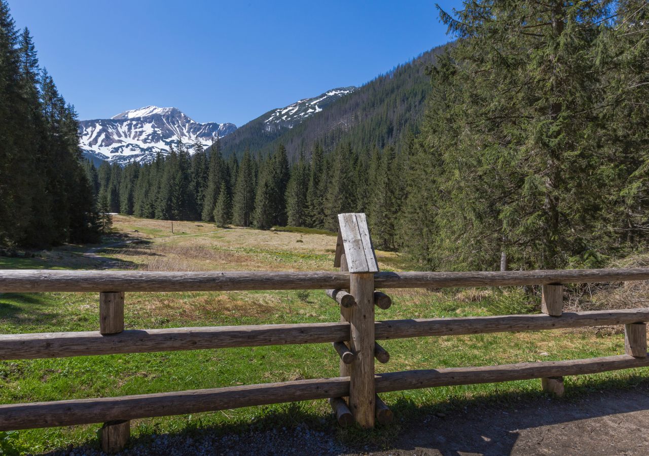 Dolina Kościeliska - Tatry, Polska
