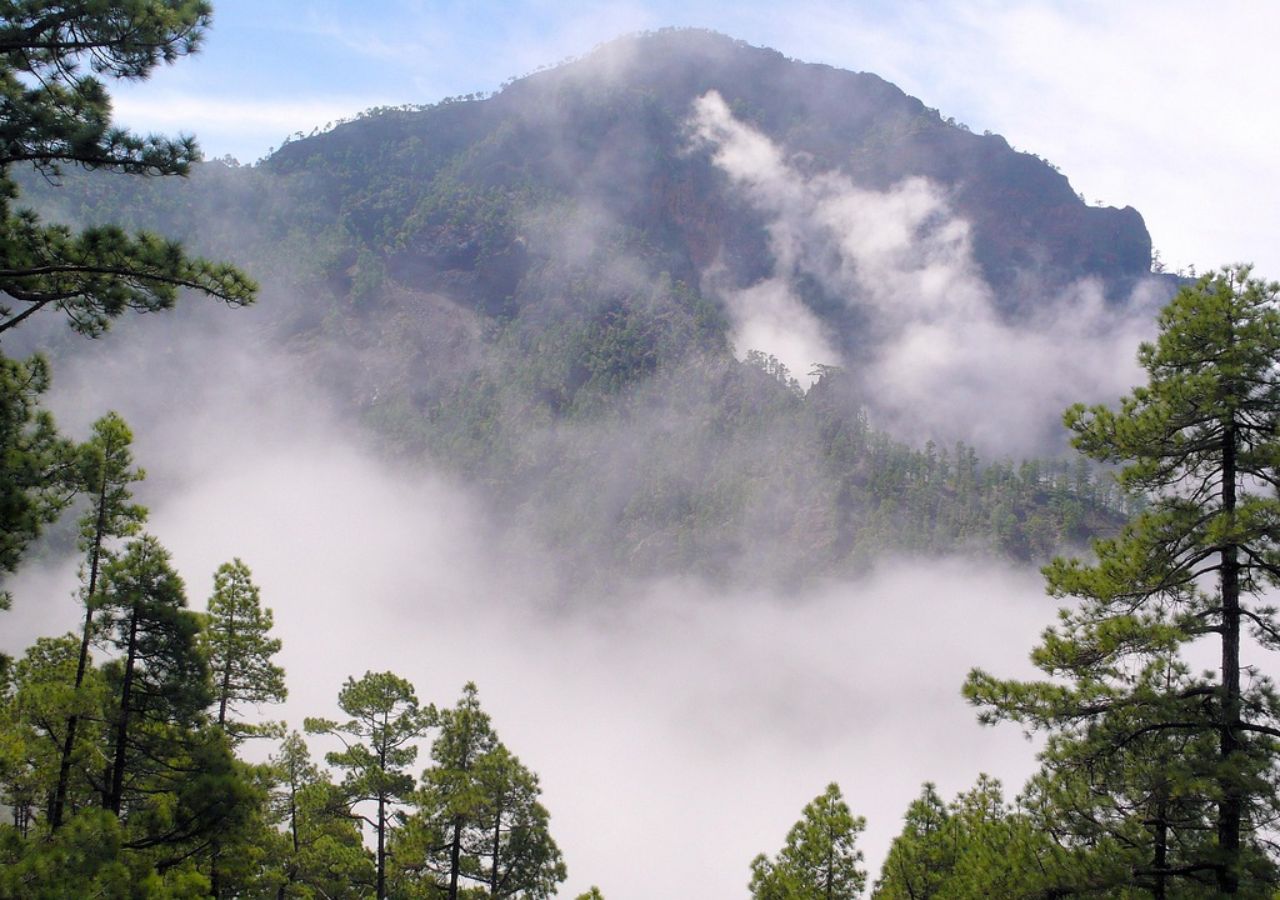 Wzgórza wyspy La Palma we mgle