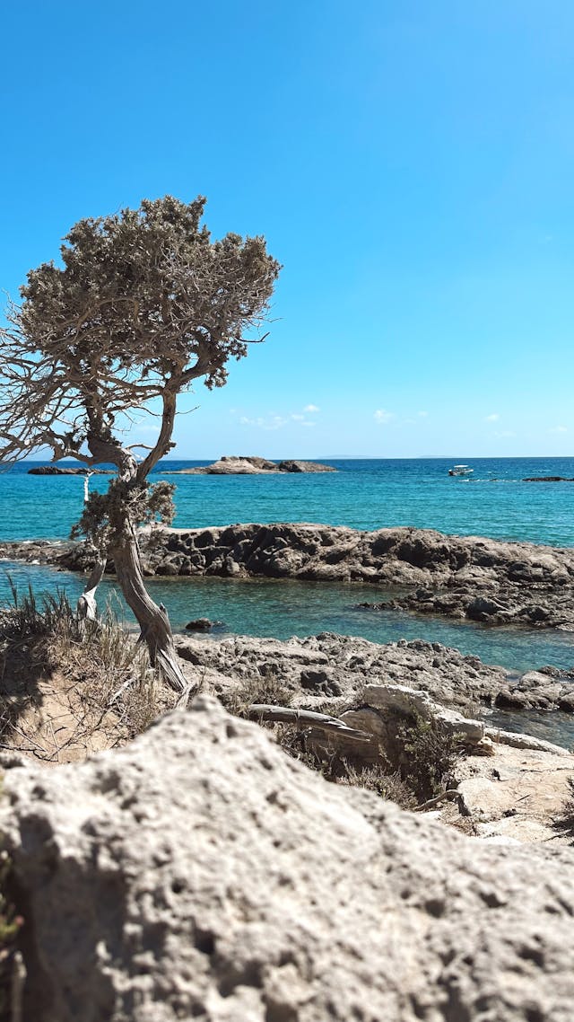 Grecka wyspa Kos. Grecja bez tłumów? Oto miejsce, które Polacy wybierają coraz częściej