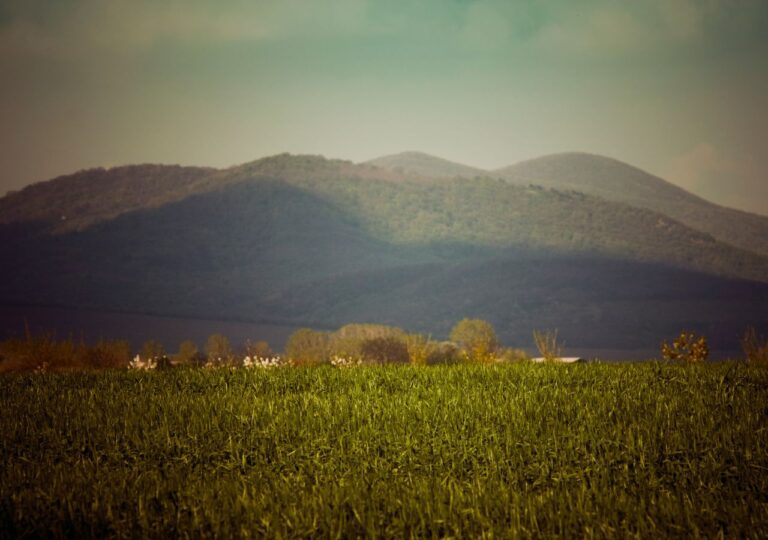 Wzgórza wokół Vrsac, Serbia