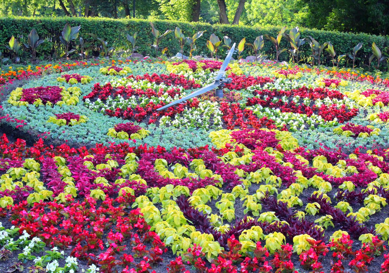 Zegar kwiatowy w Ciechocinku, Polska