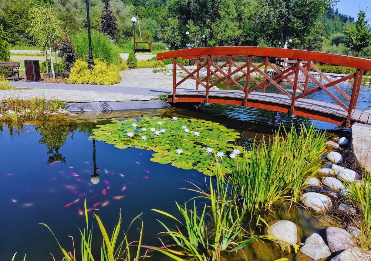 Staw z karpiami koi w ogrodach w Muszynie