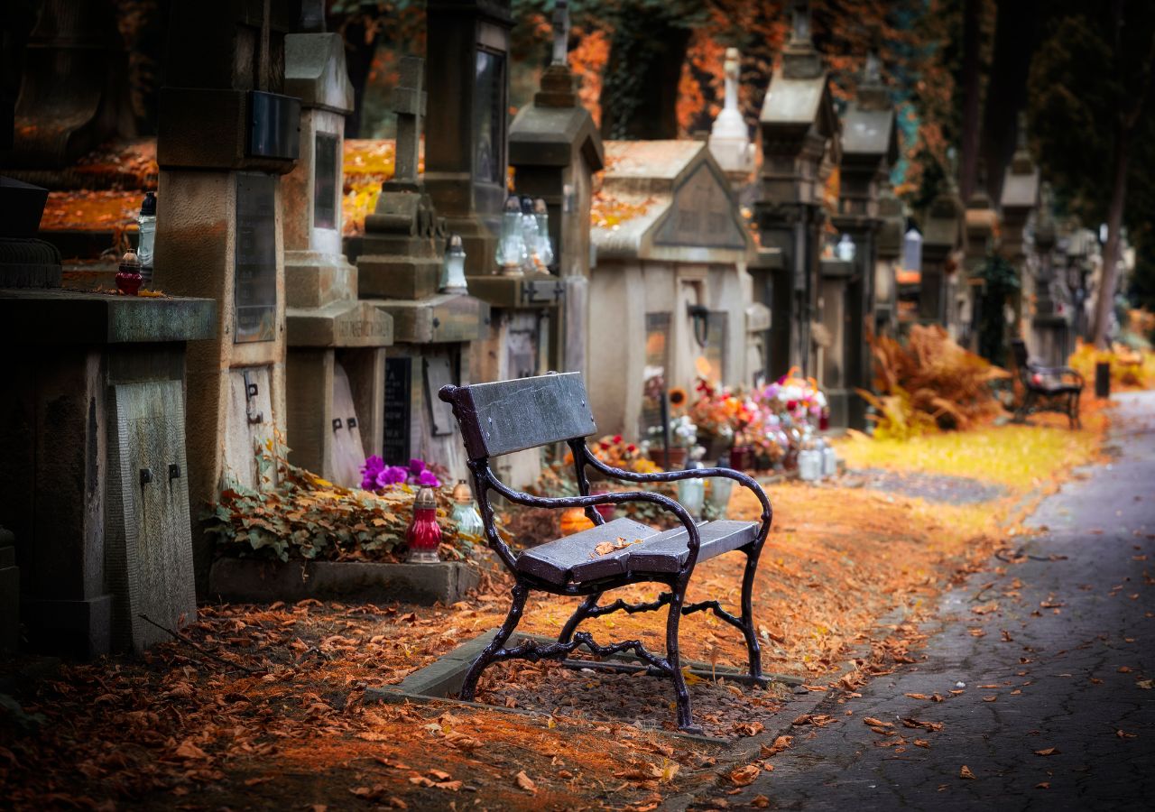 Alejka na Cmentarzu Rakowickim w Krakowie jesienią