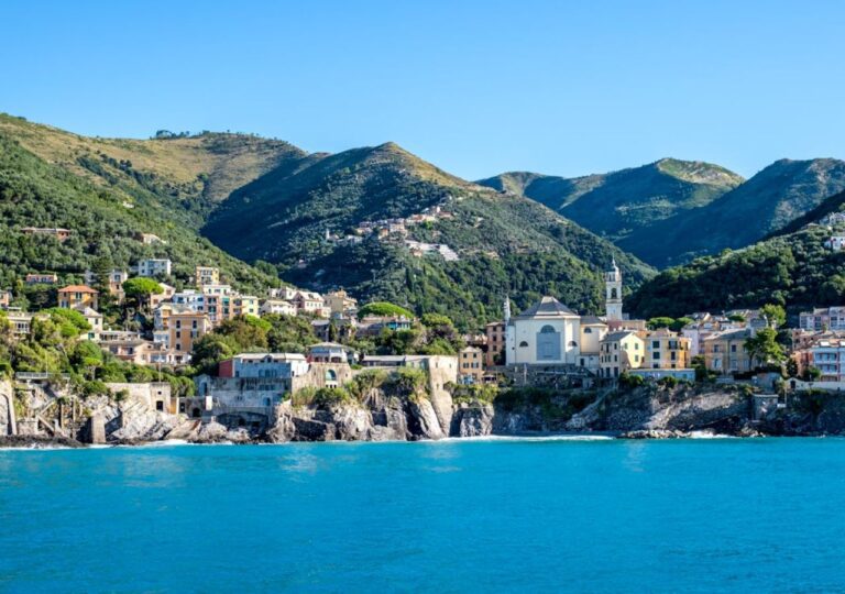 Liguria to ojczyzna słynnych oliwek taggiasca